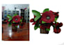 remove background for product photos, amazon